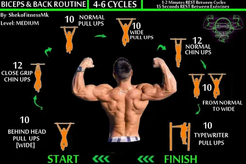 Chest and back calisthenics workout sale